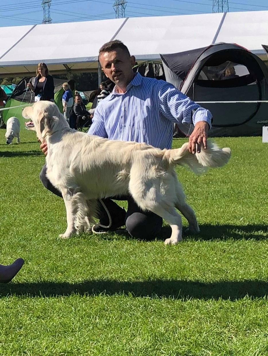 309390636 182051757721684 256870452293678934 n