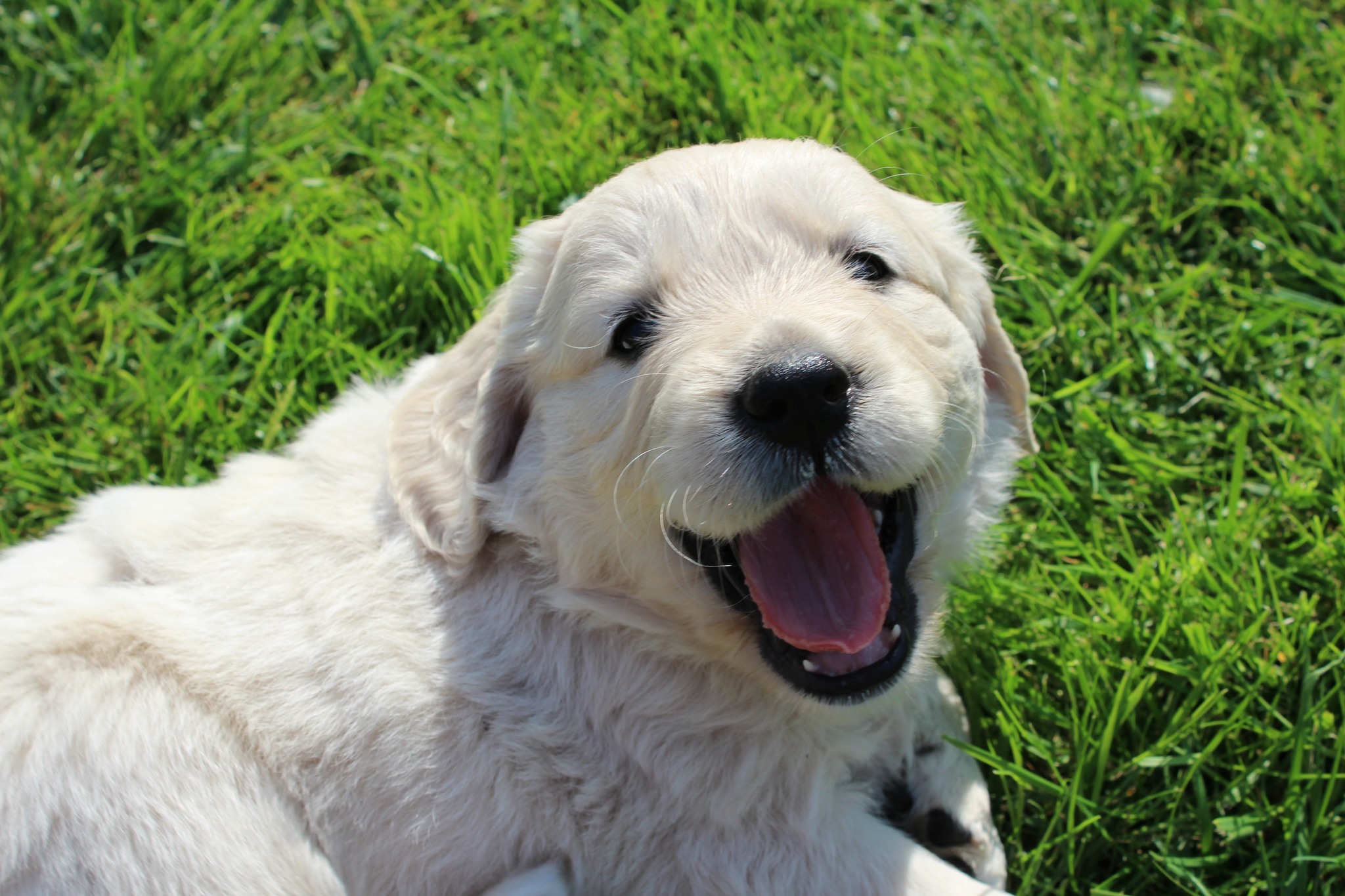 348448221 1072523257468105 7843149895577029138 n