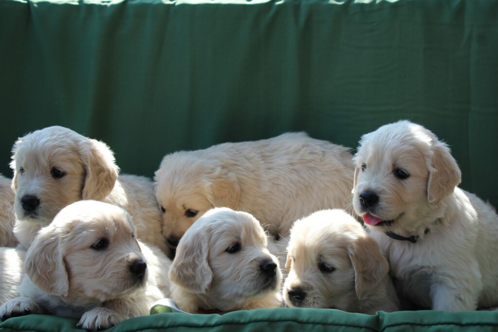 348561402 6302204836533894 5323723720096812745 n