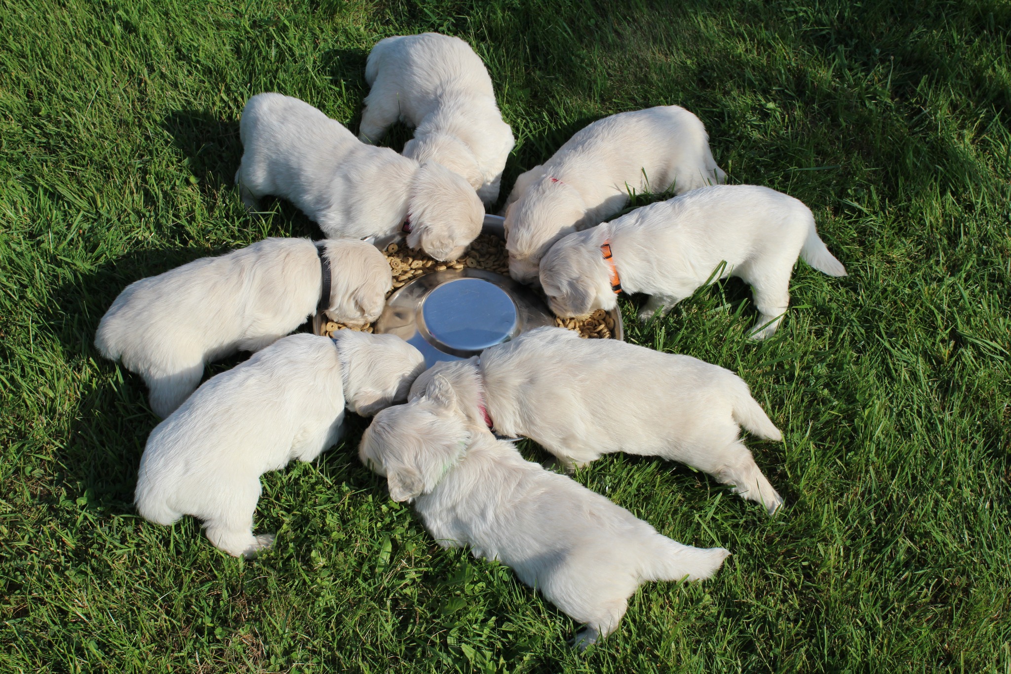 350129230 249336277776960 5569360574646359717 n